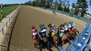 Noel Michaels handicapping, Americas Best Racing Sunday Selections, Belmont at the Big A